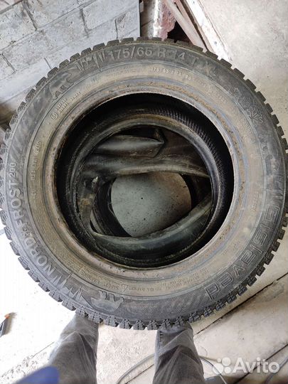 Gislaved Nord Frost 200 175/65 R14 86T