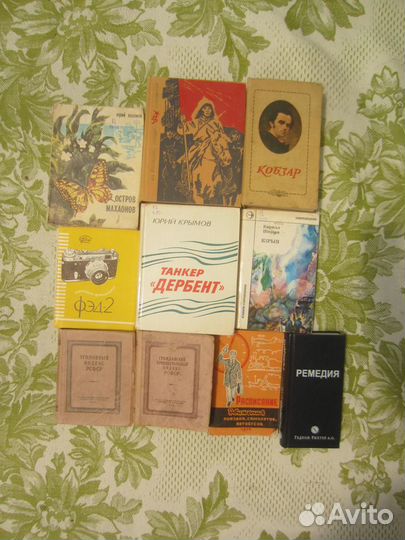 В.А. Моисеев. Союз крылатых. 1989 год