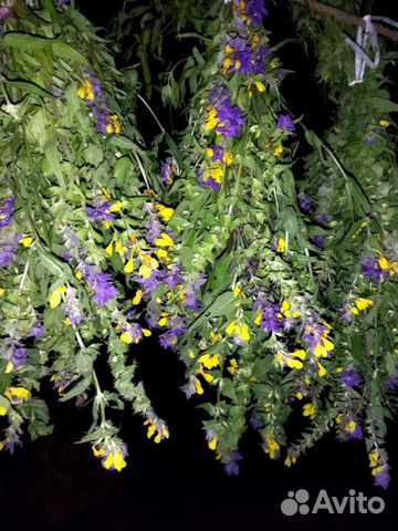 Лекарственные травы, травяные сборы