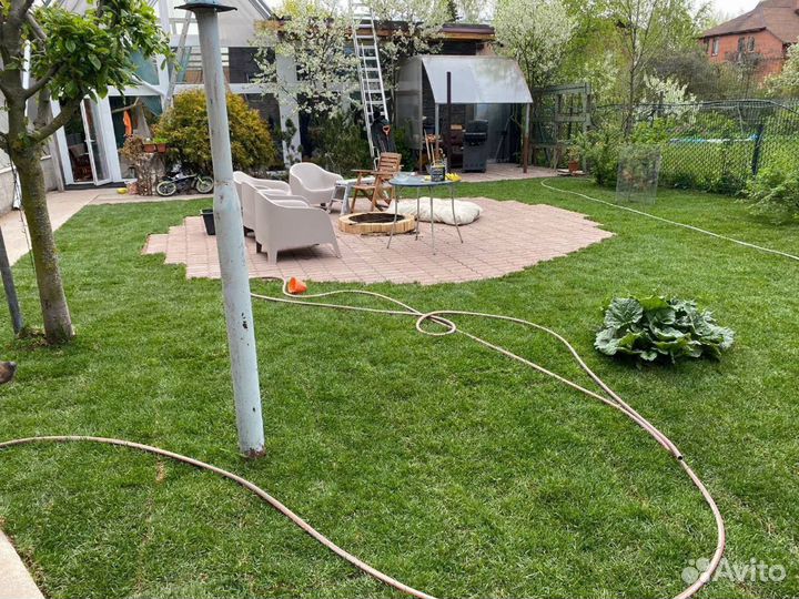 Рулонный газон 