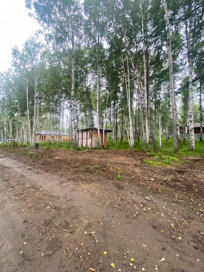 Участок 20 сот. (СНТ, ДНП)