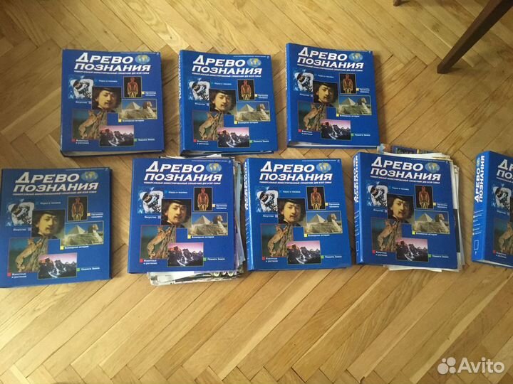 Древо познания