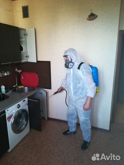 Дезинфекция. Дезинсекция