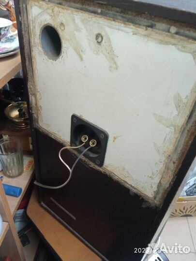 Колонки радиотехника S70