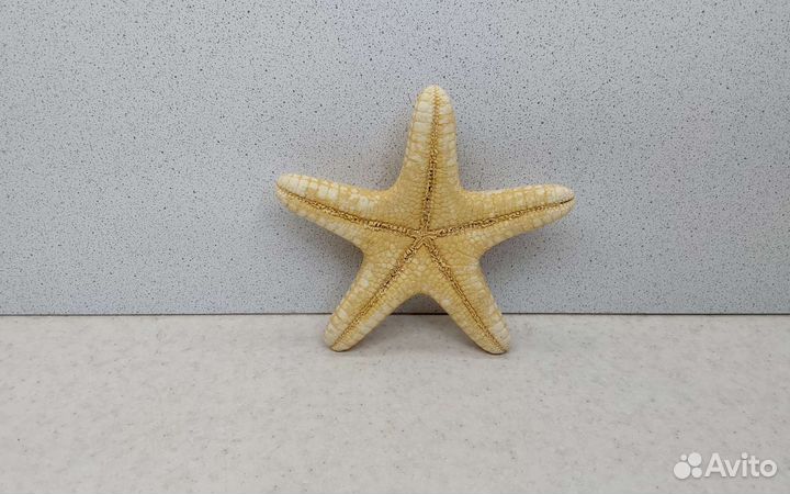 Звезда Филиппинская 11,1 морской сувенир подарок