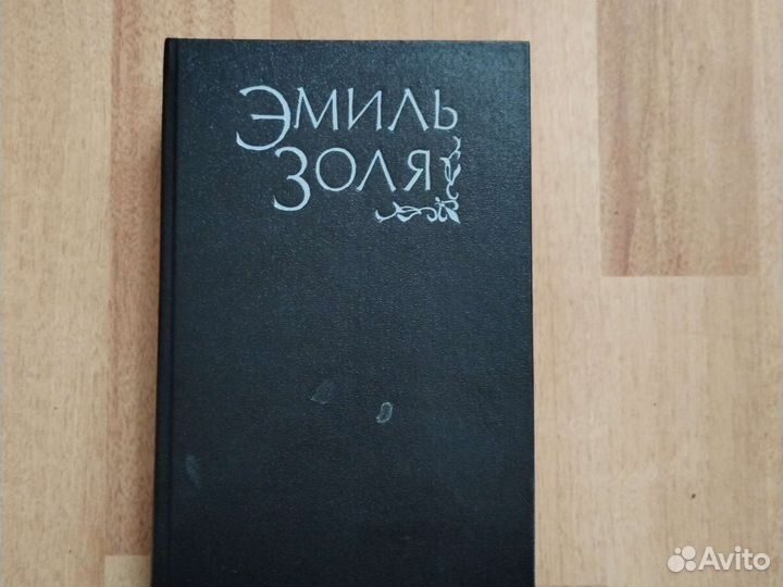 Эмиль золя Наша мечта