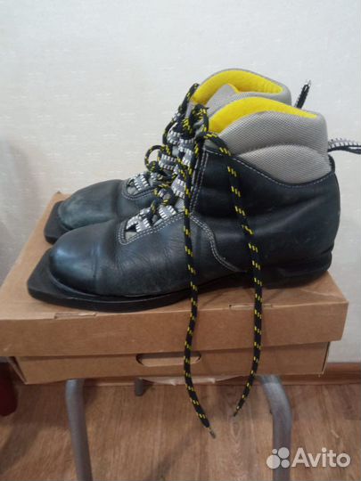 Беговые лыжи