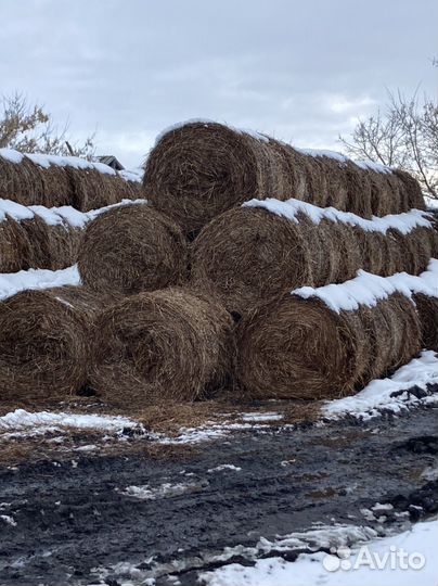 Солома в рулонах