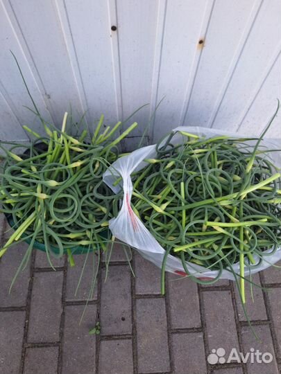 Чесночные стрелки