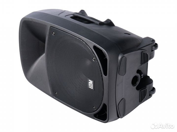 Акустическая система с 2 микрофонами, Leem PR-15HR