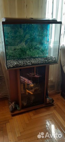 Аквариум с тумбой и оборудованием