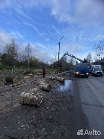 Аренда услуги Полноприводного Ломовоза