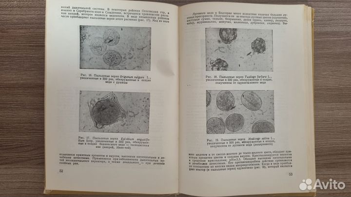 Мед и медолечение. Стоймир Младенов
