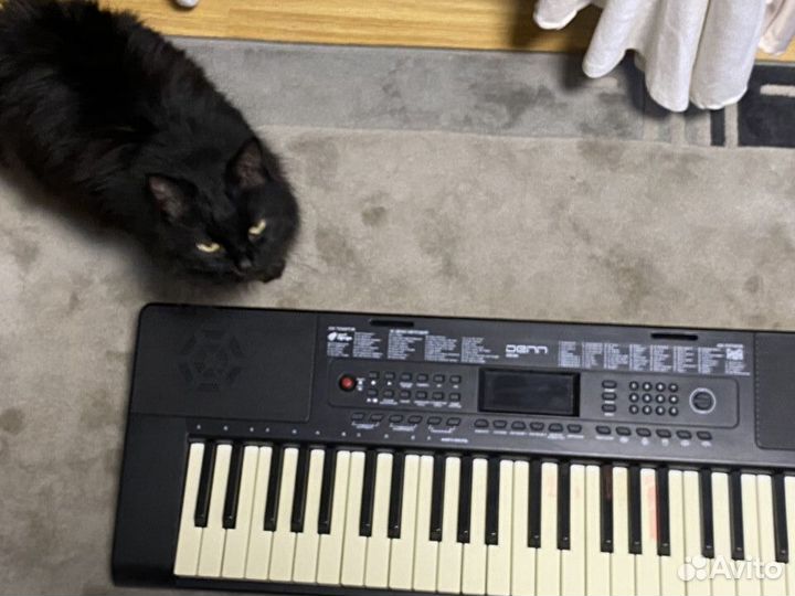 Синтезатор denn DEK494