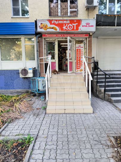 Торговая площадь, 55.3 м²