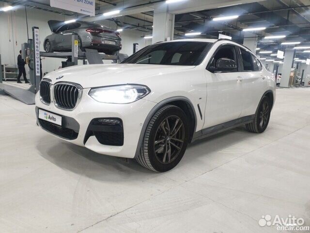 BMW X4, 2020 купить во Владивостоке | Автомобили | Авито