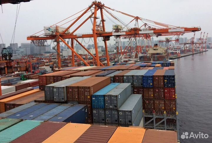 Ищу инвестора, доход 120 процентов годовых