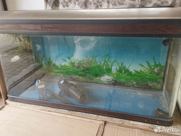 Аквариум