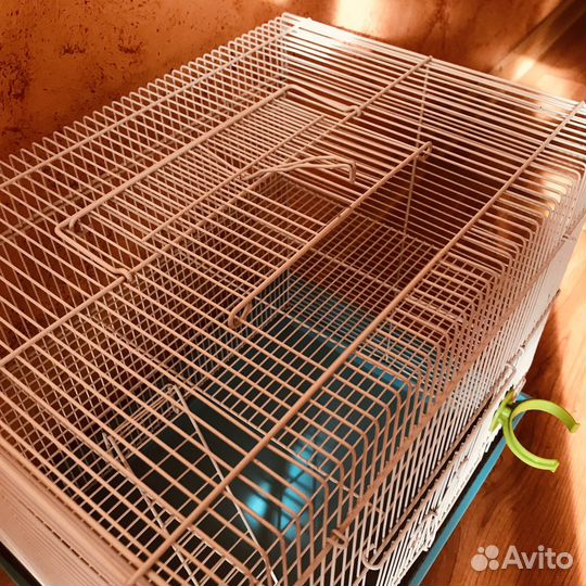 Клетка для грызунов бу