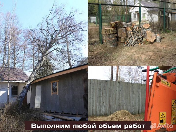 Удаление и валка деревьев, спил деревьев