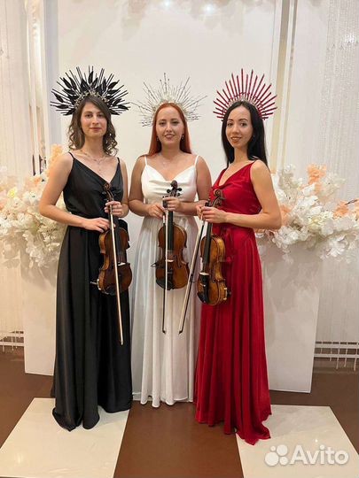 Шоу скрипачек 