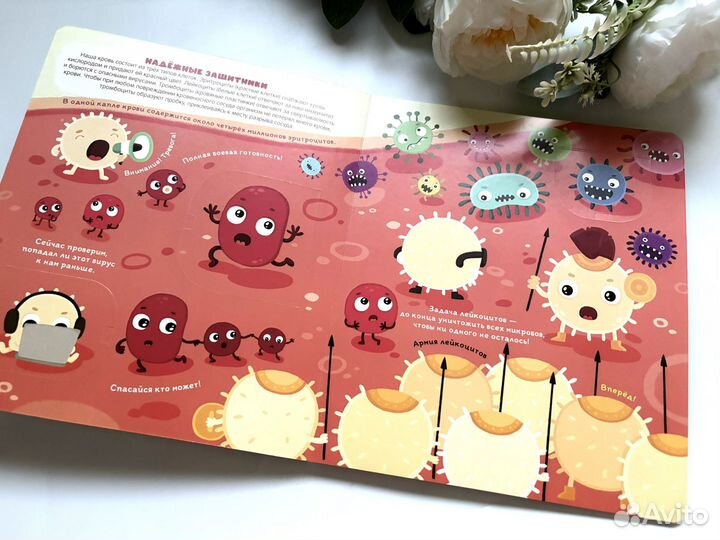 Детская книга с окошками Иммунитет