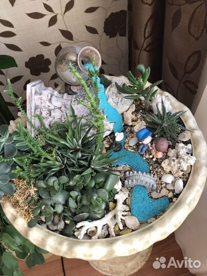 Флорариум с суккулентами