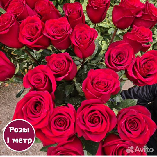 Букет красных роз, Эквадор, 100см 29 шт