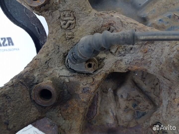 Кулак задний правый R