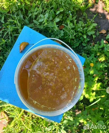 Мед с личной пасеки