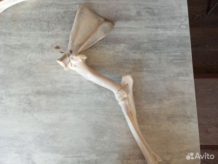 Топор из кости козла