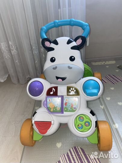 Толкар зебра