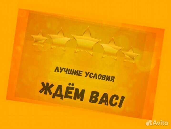 Комплектовщик Спецодежда Еженедельный аванс М/Ж