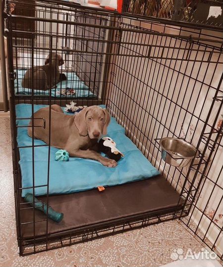 Вольер для собак новый
