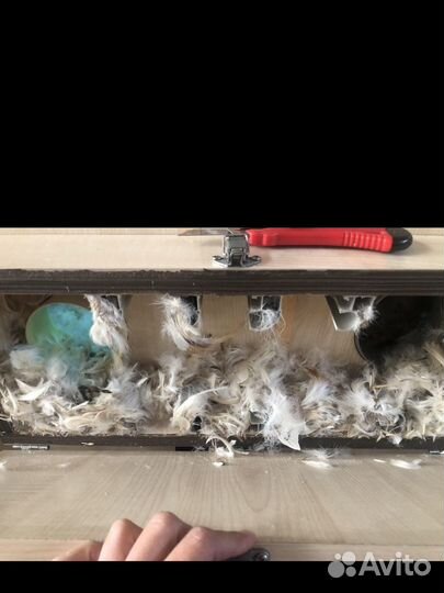 Чистка перьевых подушек