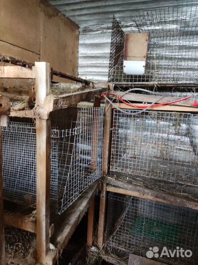 Клетка для кролика. Клетки для кроликов. Стеллаж