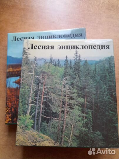 Лесная энциклопедия. 2 Т. 1985-1986 гг
