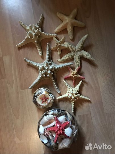 Морская тематика звезды, наборы ракушек