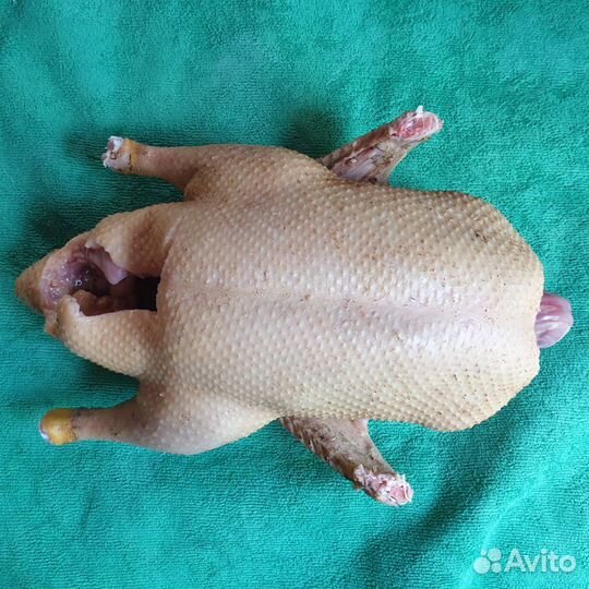 Вкусные домашние уточки