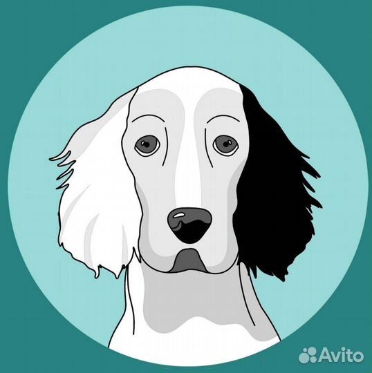 Работа ветеринарный врач