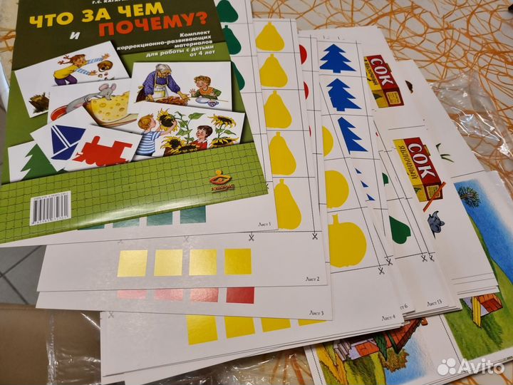 Кагарлицкая Что за чем и почему