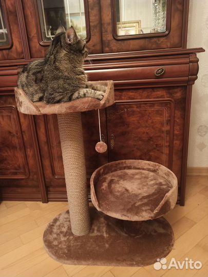 Когтеточка Домик для кошек и собак мелких пород