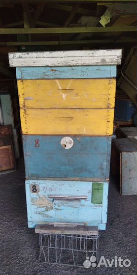 Улей Дадана