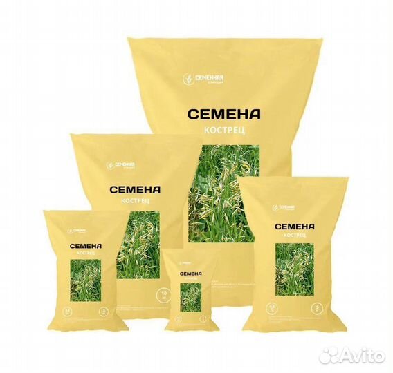 Семена люцерны