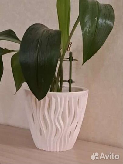 Кашпо для цветов