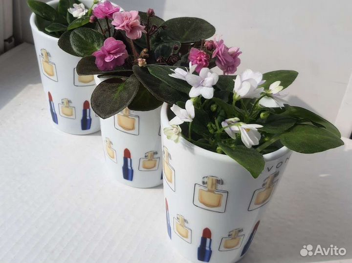 Кружки 6 штук сервиз в офис, салон красоты кашпо