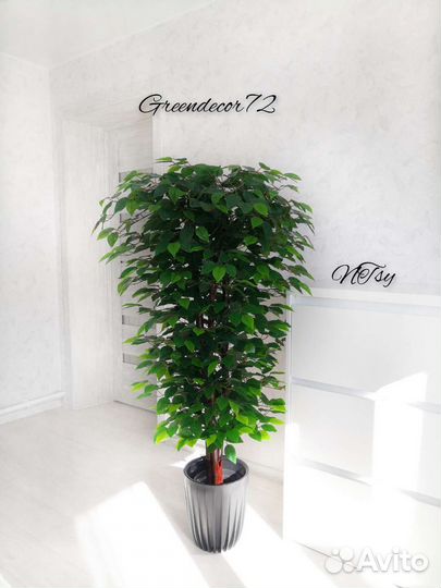 Искусственные растения и деревья Фикус