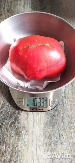 Семена сортовых томатов