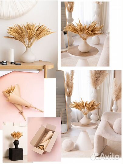 Предметный фотограф