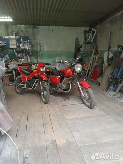 Зид пилот 50